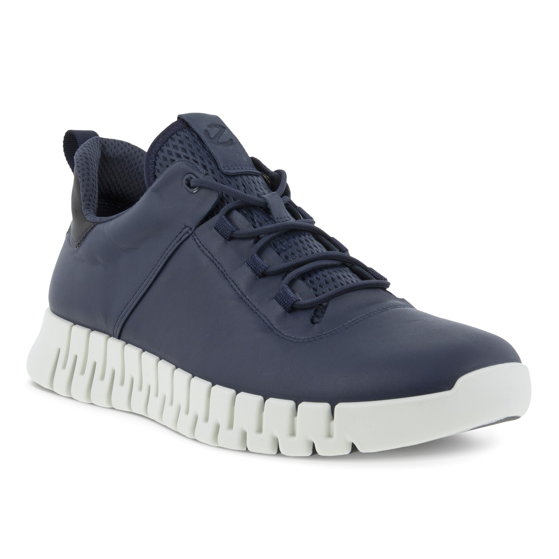 Ecco herren 2